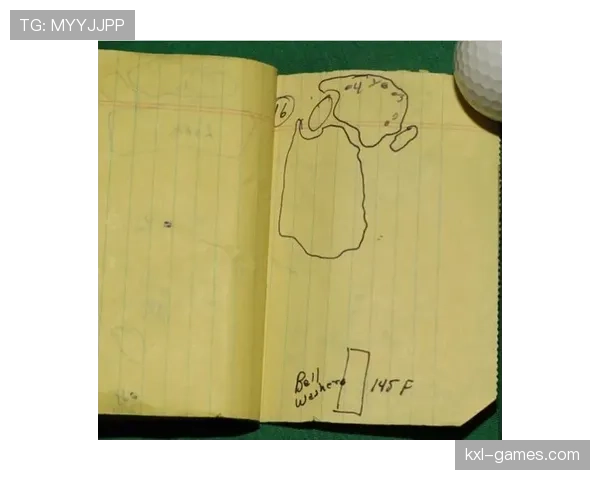 帕尔默职业轨迹